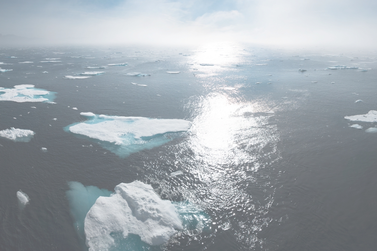 Klimaregnskab for råvarer til forplejning