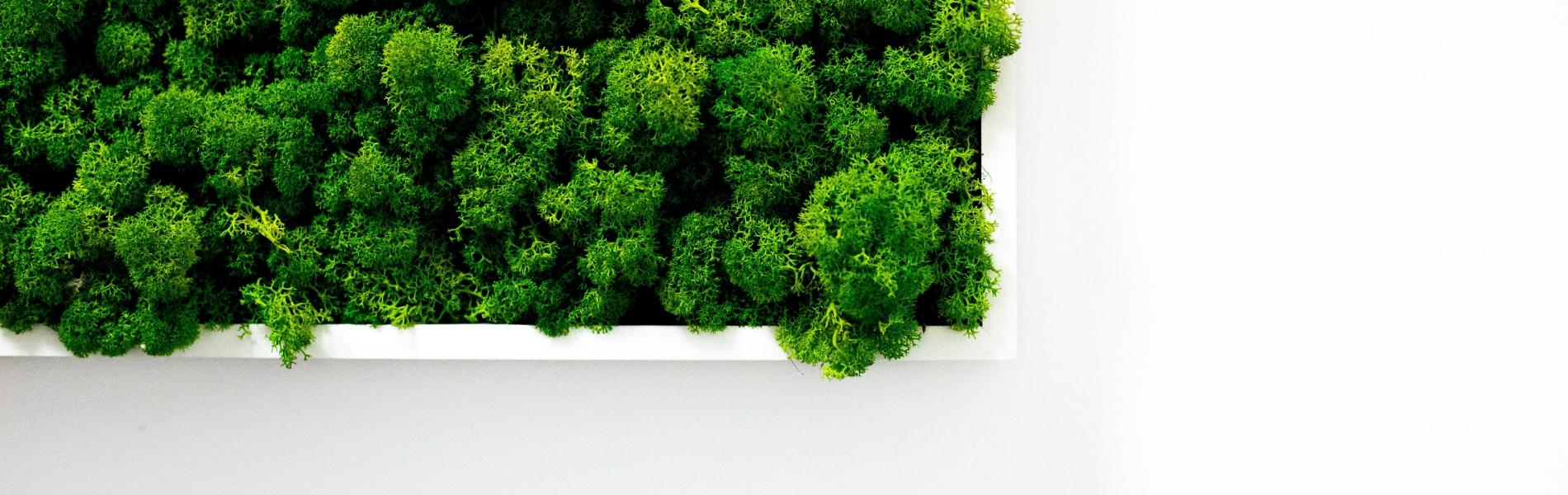 Nyt stort projekt i DFM: Digitalt Fundament for Bæredygtig Facility Management