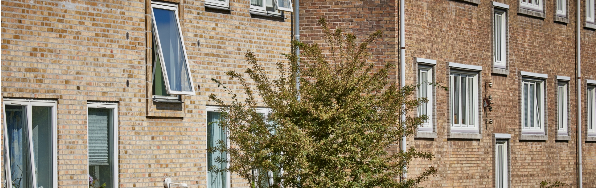 Nyt projektsamarbejde i DFM om vedligehold og klimabelastning