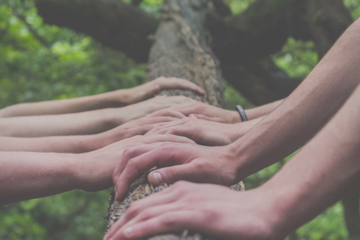 Grønne ambassadører