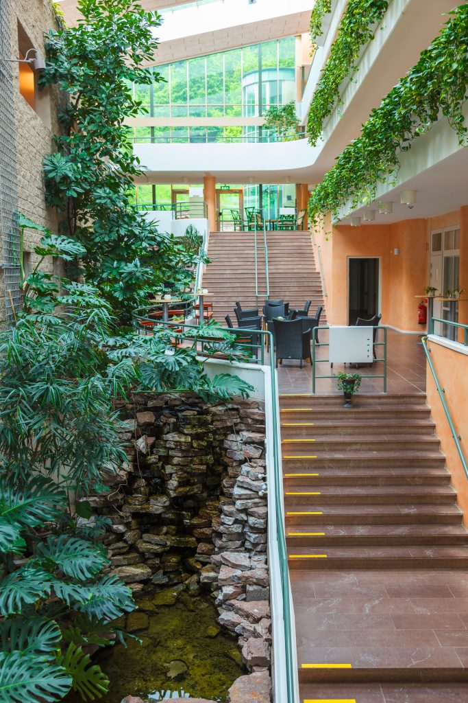 Interior in on an office building with green plants and a pond