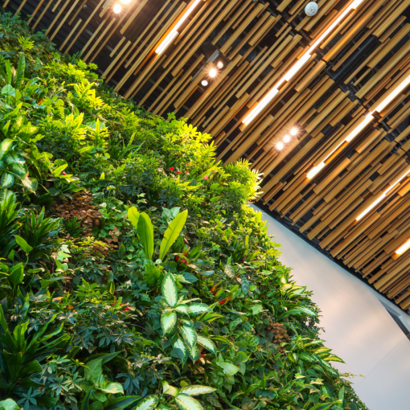 Grøn-grønnere-grønnest-artikel