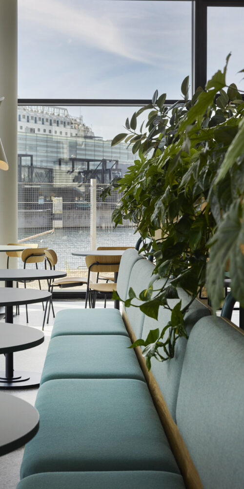 digitale-bæredygtighedsinformationer