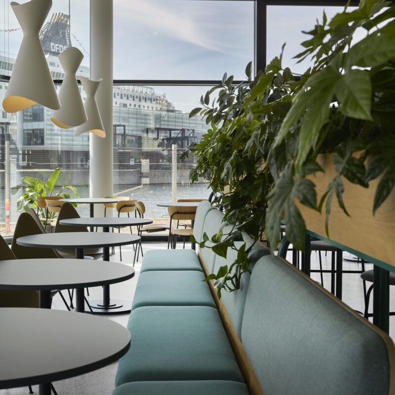 digitale-bæredygtighedsinformationer